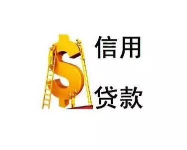 汽车贷款:信用贷款 汽车贷款:信用贷款